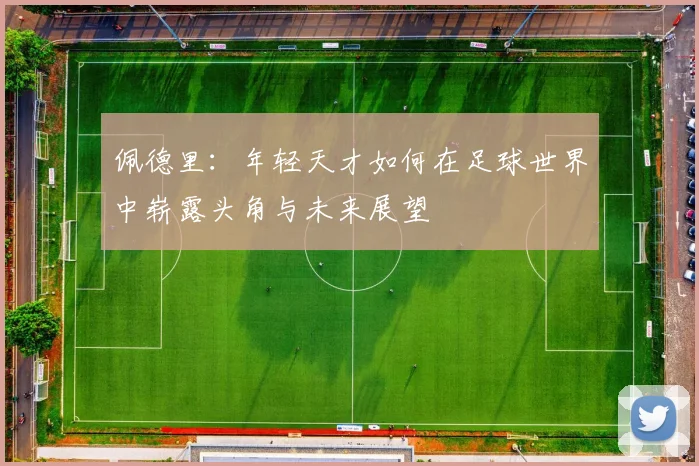 佩德里：年轻天才如何在足球世界中崭露头角与未来展望