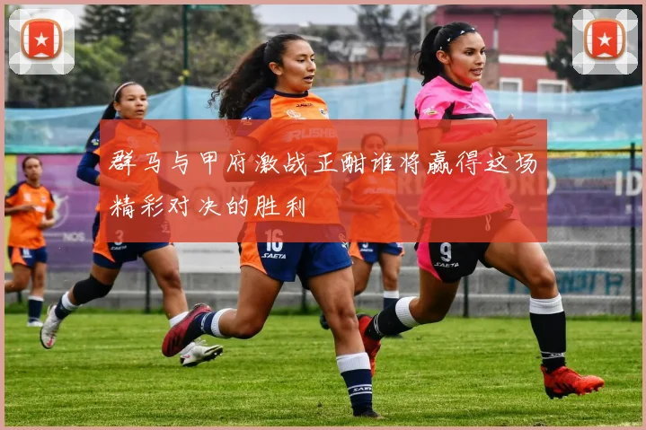 群马与甲府激战正酣谁将赢得这场精彩对决的胜利